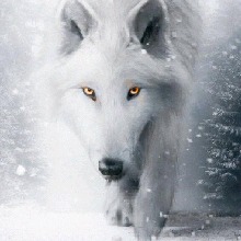 Guest_faith279164