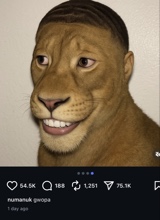 CarIos