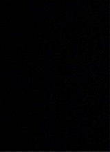 Guest_Alex348427