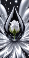 Guest_Irady
