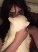 Guest_lMEMI