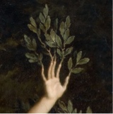 Guest_s1r3ns