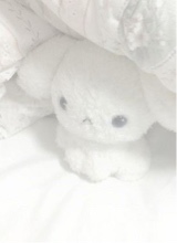 Guest_ClxudBxnBxn