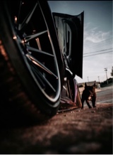 Guest_seth910327