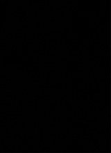 immagine avatar