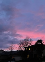 Guest_LucyRose509