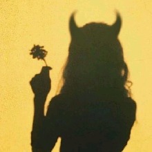 shyswanderlust