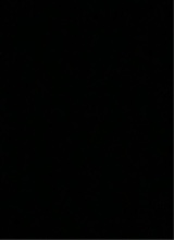 Guest_Youanne972