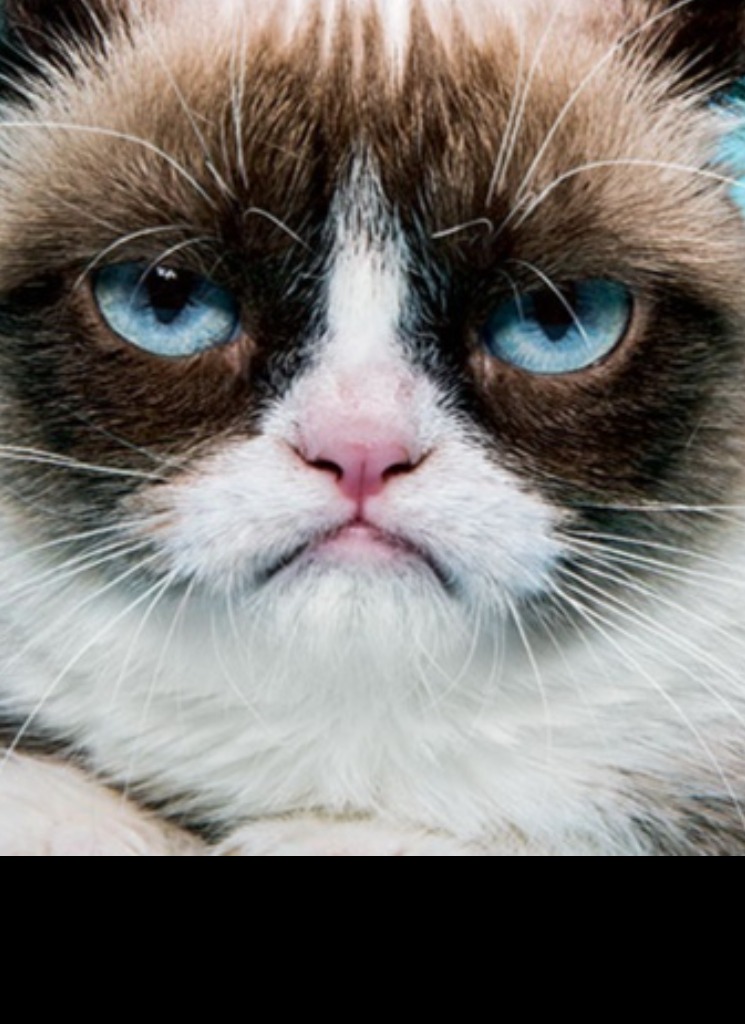 Guest_yiandei