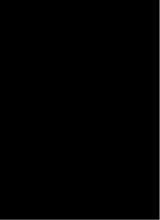 niyaa163300