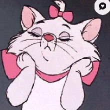 Guest_Juju26216