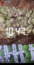 Guest_jayhunncho1