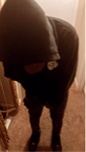 Guest_SWERVO2XX