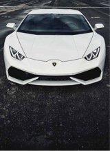 Guest_jakewilson11