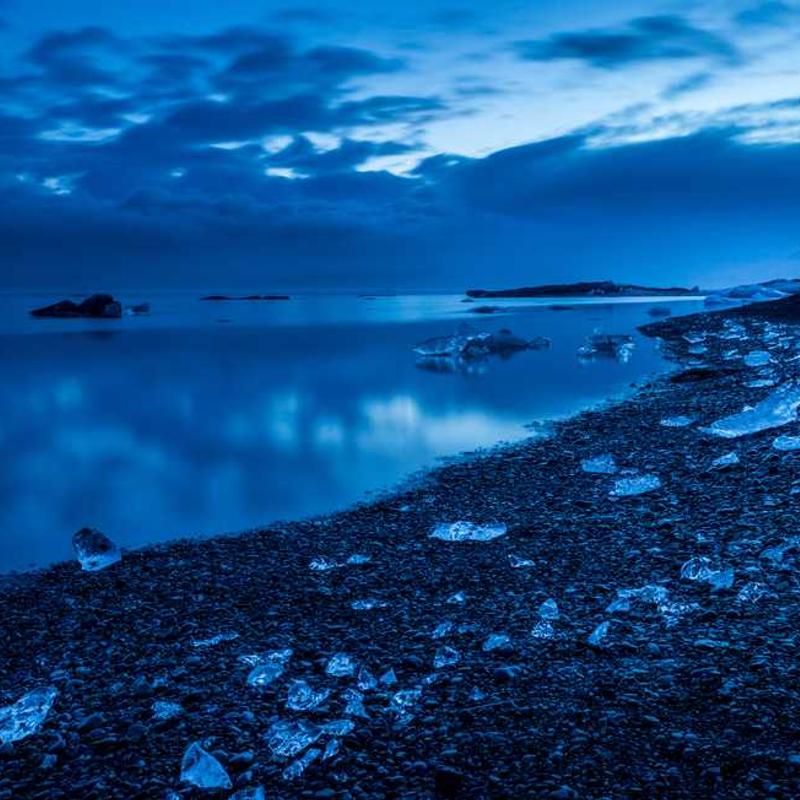 Guest_xybitch1