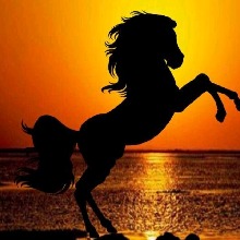 immagine avatar