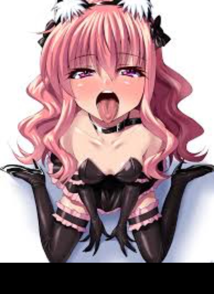 Guest_Elizabeth985967