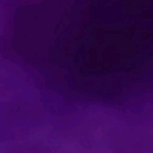 Guest_musicvu27927291