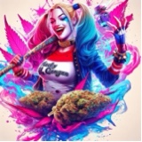 immagine avatar