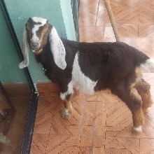 Foto de Avatar