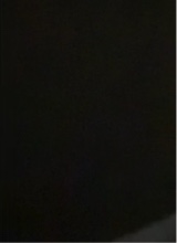 immagine avatar