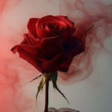 Guest_Darktika