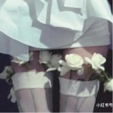 Guest_mamamiya1