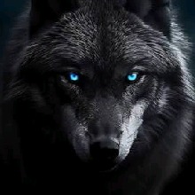 Guest_DyrrothAlucard