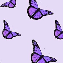 Guest_Tainakipper