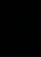 Guest_WPNP