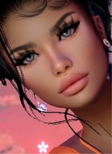 Guest_Mitchelle18