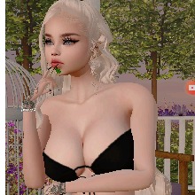 Guest_AMORRR5