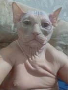 Guest_Bitch745621