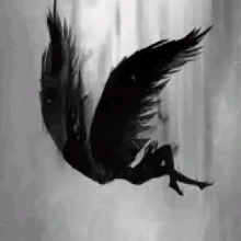 Phoenix6666666
