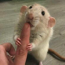 ClaraStocker