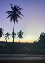 Guest_Zawena