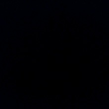 Guest_IaraSampaio2