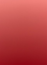 Guest_Sebastian344