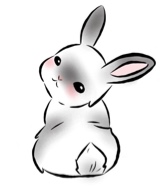 Guest_lisa610965