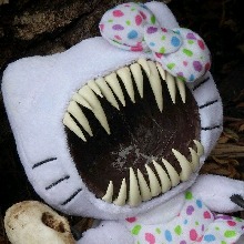 Guest_KittyShtter