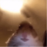 Guest_Matty446611