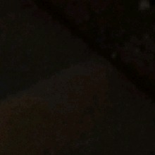 xXMushiCHMJXx