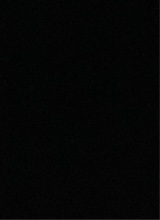 immagine avatar