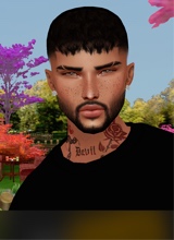 Chris553284