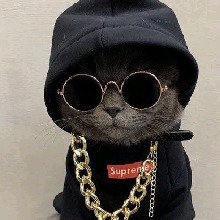 Guest_Xxkevinxx7