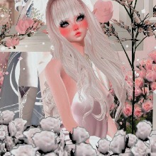 Guest_yanko5