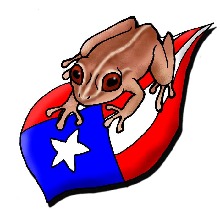 immagine avatar