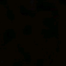 Guest_YarielDiaz3
