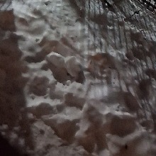 Guest_Tammylovey