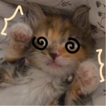 Guest_oniii2